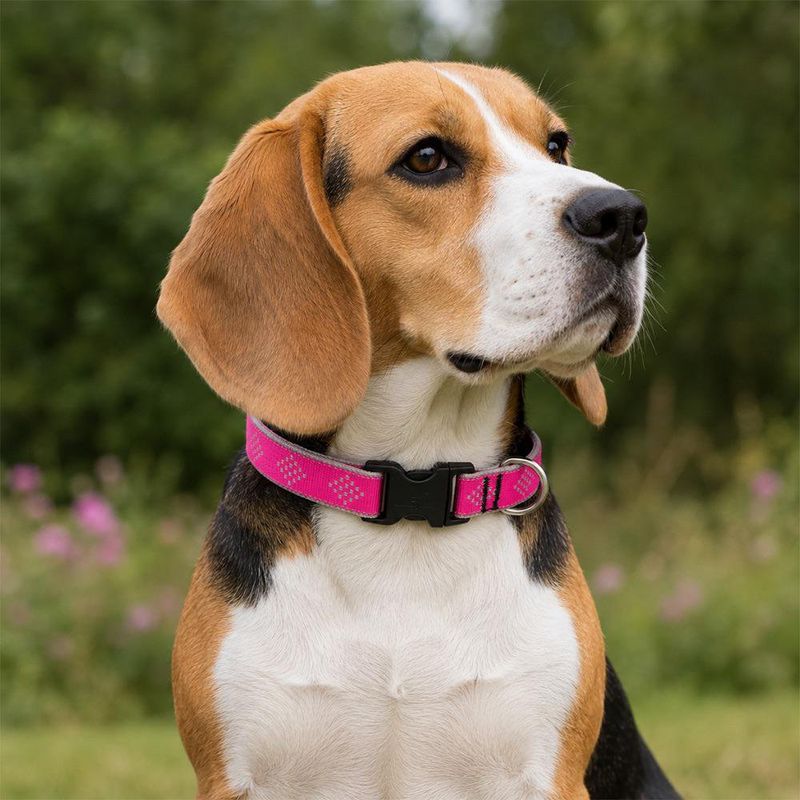 Collar Ajustable para Perro de Nylon Reflectante Diseño Diamante de 12 a 20 Plg x 1 Plg Rosa