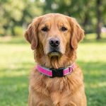 Collar Ajustable para Perro de Nylon Reflectante Diseño Diamante de 16 a 28 Plg x 1 Plg Rosa
