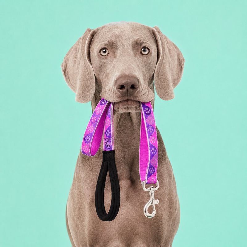 Correa para Perro de Nylon Reflectante Diseño Huellas de 6 Pies x 1 Plg con Mango Acolchado Rosa