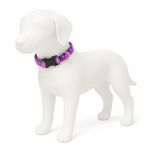 Collar Ajustable para Perro de Nylon Reflectante Diseño Huellas de 12 a 20 Plg x 1 Plg Rosa
