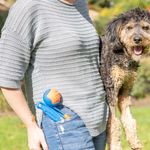 Lanzador de Pelota Plegable para Perro Tamaño Mini Azul y Naranja