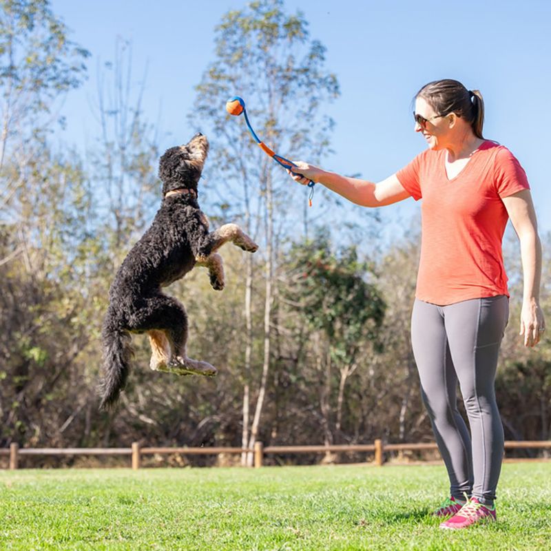 Lanzador de Pelota Plegable para Perro Tamaño Mini Azul y Naranja