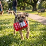 Peluche para Perro Diseño Estuche de Brocas con Sonido Color Rojo