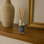 Difusor Mini con Varitas de Ratán Aroma Aqua Breeze