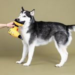 Peluche para Perro Diseño Taladro con Sonido y Cuerda Color Amarillo y Negro
