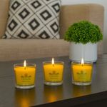 Set de 3 Velas de Cera Ecológica Diseño sin Humo Aroma Citronela