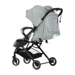 Carruaje de Paseo Reclinable con Capota y Canasta de 41 x 62 x 96 cm Gris