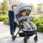 Carruaje de Paseo Reclinable con Capota y Canasta de 41 x 62 x 96 cm Gris