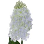 Flor Hortensia Artificial Cónica Color Blanco