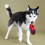 Peluche para Perro Diseño Cinta Métrica con Sonido Color Rojo