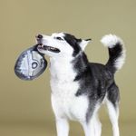 Peluche para Perro Resistente Diseño Sierra Circular Color Gris