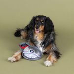 Peluche para Perro Resistente Diseño Sierra Circular Color Gris