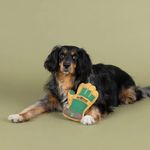 Peluche para Perro Diseño Guante Jardinero con Sonido Color Café