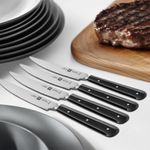 Juego de 4 Cuchillos para Bistec Color Plateado