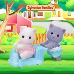 Gemelos Gato Persa