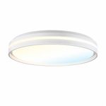 Plafón de Techo LED de Sobreponer Luz Blanca Ajustable Blanco 40W 395 mm 2500 lm