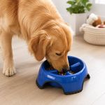 Plato de Alimentación Lenta para Perro Skid Stop Mediano Azul