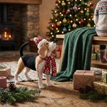 Adorno Navideño Tipo Dachshund Decorativo con Gorro y Bufanda de 36 x 19 x 31 cm