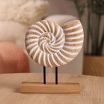 Caracol Decorativo 20 x 25 cm Acabado Natural