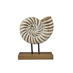 Caracol Decorativo 20 x 25 cm Acabado Natural