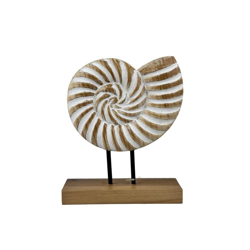Caracol Decorativo 20 x 25 cm Acabado Natural