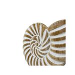 Caracol Decorativo 20 x 25 cm Acabado Natural