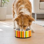 Plato de Melamina Antideslizante Pequeño para Perro - Diseños Surtidos