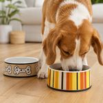 Plato de Melamina Antideslizante Pequeño para Perro - Diseños Surtidos