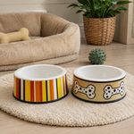 Plato de Melamina Antideslizante Pequeño para Perro - Diseños Surtidos