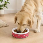 Plato Reforzado de Melamina Pequeño para Perro Diseño Huellas Rosado
