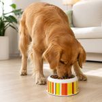 Plato Profundo de Melamina pequeño para Mascota Diseño Multicolor