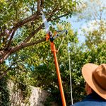 Cortador de Ramas Altas con Mango Telescópico de Fibra de Vidrio 3.6 Metros