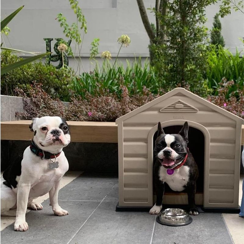 Casa Pequeña de Plástico para Perro con Diseño Techo de Teja