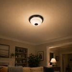 Lámpara de Techo Plafón con 2 Luces Base E27 y 60W en Acabado Negro