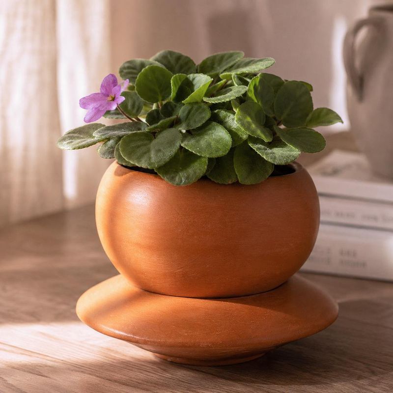 Maceta Redonda de Barro 21x13 Cm Color Terracota Natural con Plato