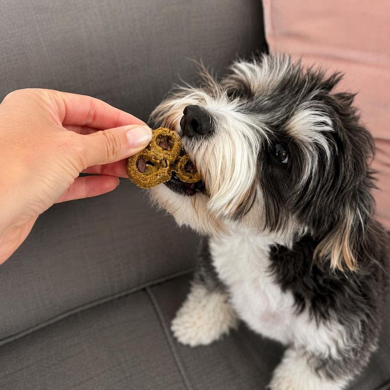 Snack Crujiente para Perro Biggies con Calabaza y Arándano de 454 g