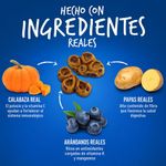 Snack Crujiente para Perro Biggies con Calabaza y Arándano de 454 g