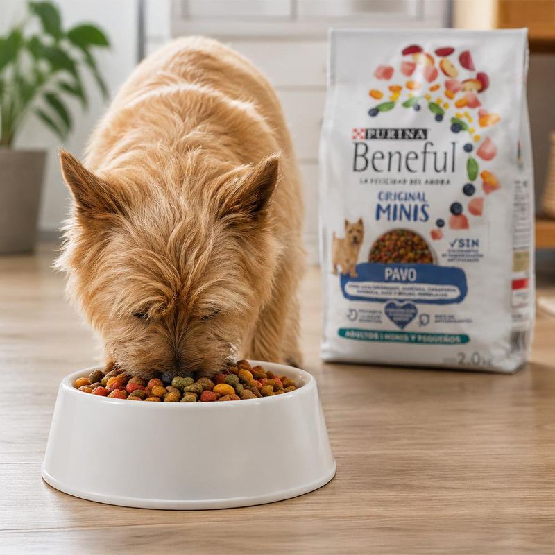 Concentrado para Perro Adulto Razas Pequeñas Original Minis con Pavo Bolsa de 2 kg