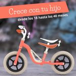 Bicicleta Charlie Flamingo