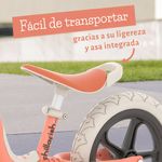 Bicicleta Charlie Flamingo