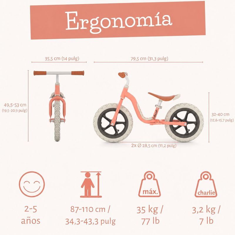 Bicicleta Charlie Flamingo