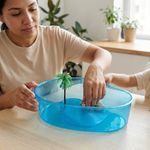 Acuaterrario de Plástico para Tortuga Tamaño Pequeño