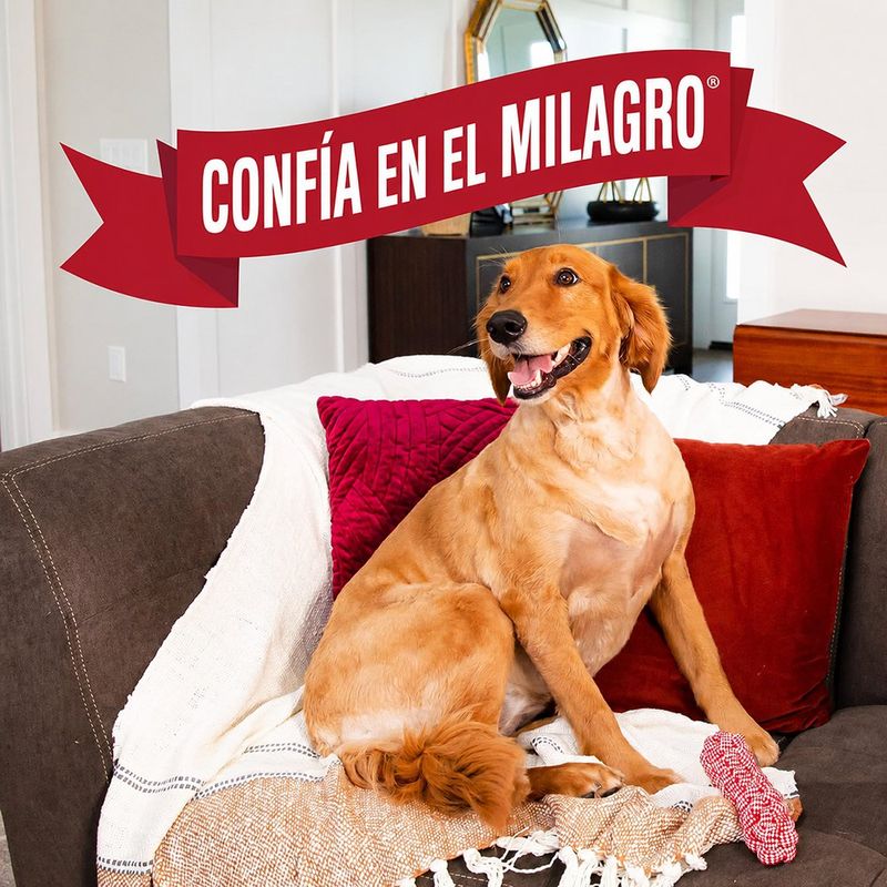 Spray Entrenador de Orina para Perro de 236 ml con Atomizador