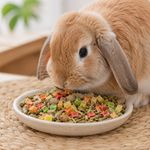 Toppings Papaya para Pequeños Animales Kaytee Healthy