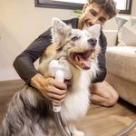Aspiradora Pet Clean 3 en 1 para Cortar, Cepillar y Aspirar el Pelo de Mascotas
