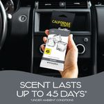 Aromatizante para Auto en Bloque para Bajo el Asiento Aroma Hielo 25 g
