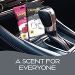 Aromatizante para Auto en Bloque para Bajo el Asiento Aroma Hielo 25 g