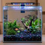 Grava para Acuario Color Negro con Colores Fluorescentes Bolsa de 5 Libras