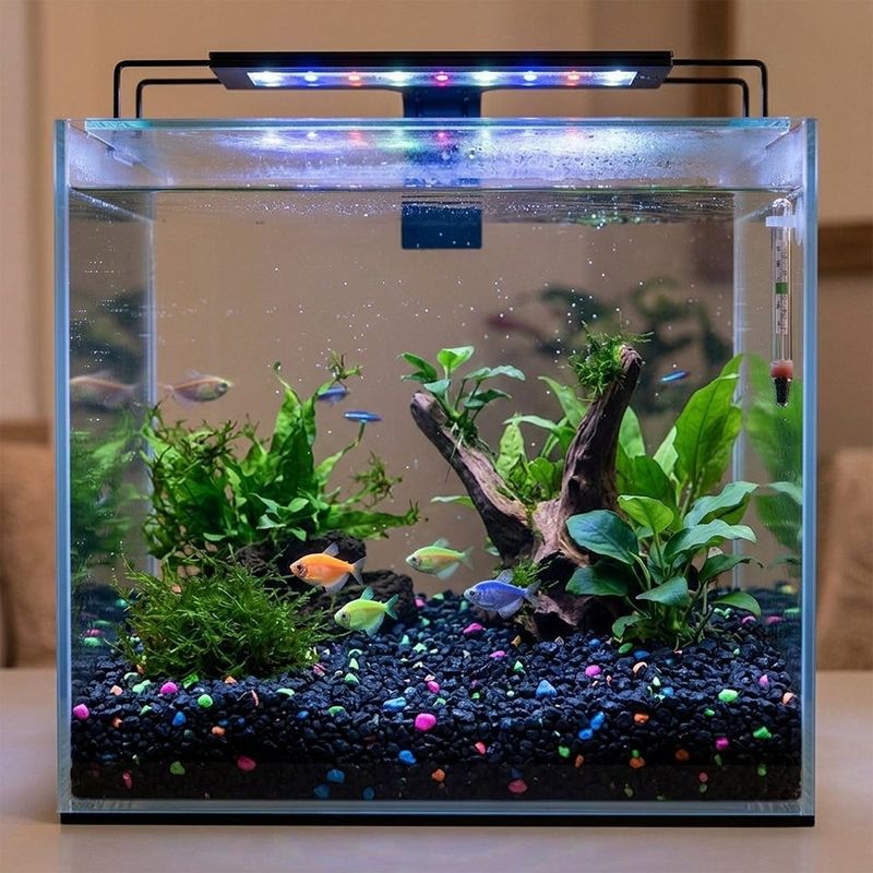 Grava para Acuario Color Negro con Colores Fluorescentes Bolsa de 5 Libras