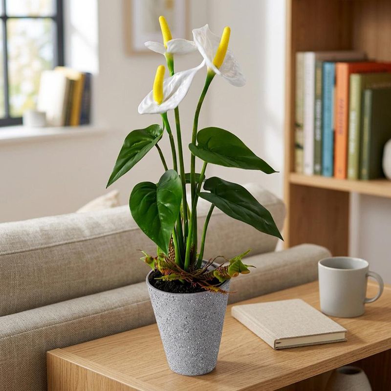 Planta Anturio Artificial Color Blanco con Maceta